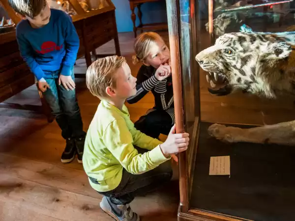 Wat een grote tanden... Foto: Natuurmuseum Fryslân