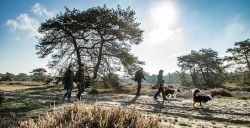 Lekker uitwaaien op de Hoge Veluwe