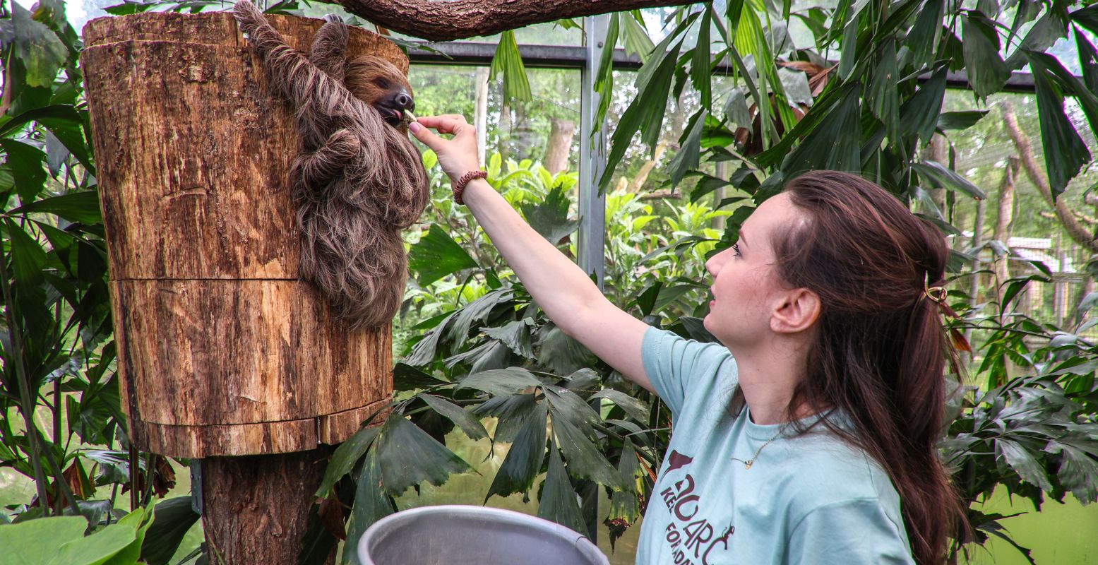 Kom dichtbij je favoriete dieren met de leukste dierentuin activiteiten. Foto: ZooParc Overloon © Kom dichtbij je favoriete dieren met de leukste dierentuin activiteiten. Foto: ZooParc Overloon ©