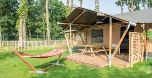Blijf slapen op de Veluwe Luxe kamperen in een safaritent op Camping De Midden Veluwe. Foto: Visit Veluwe