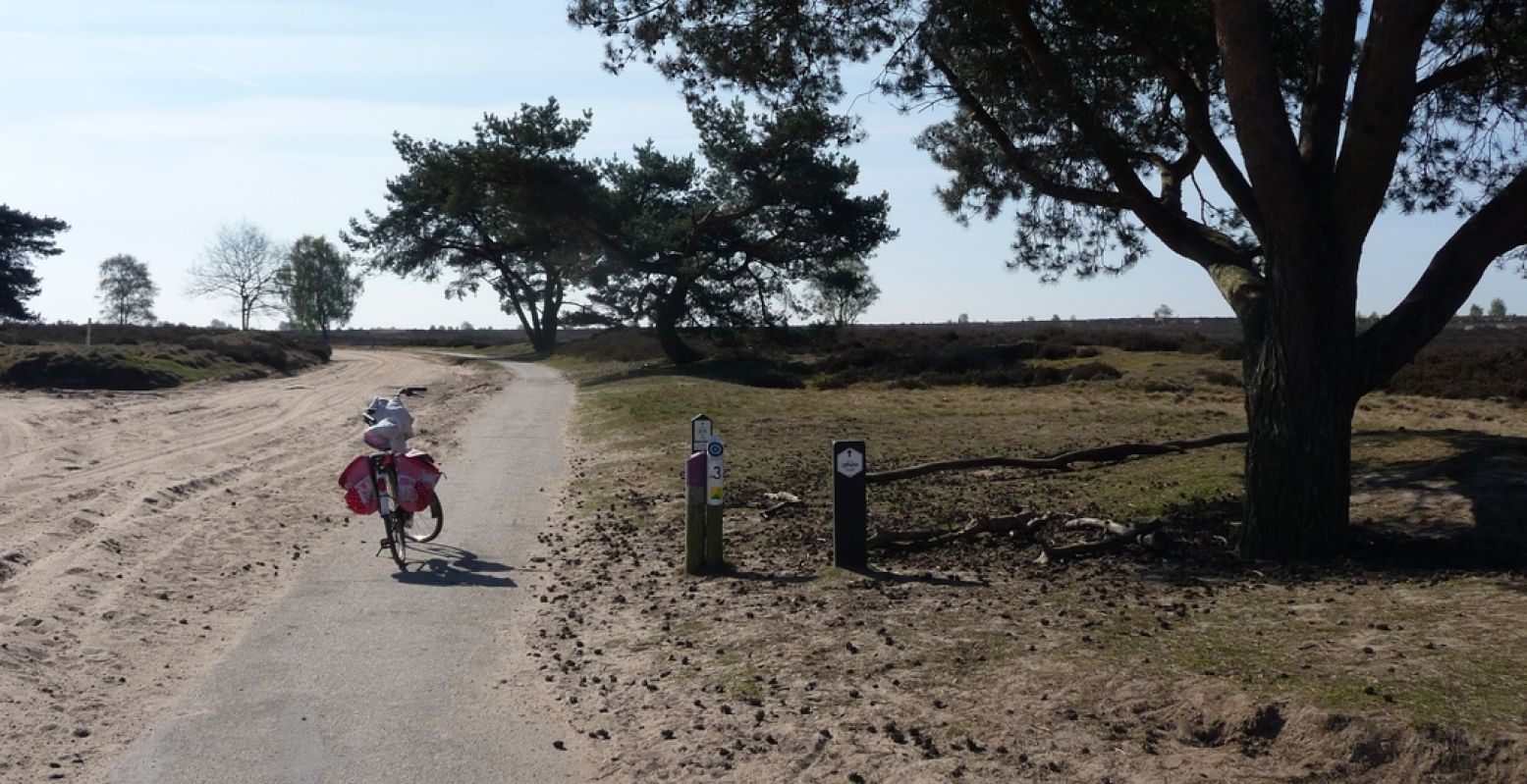 Lekker fietsen door de natuur met een van de apps vol leuke natuurroutes. Foto: DagjeWeg.NL