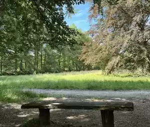 Seniorenwandeling Foto geüpload door gebruiker Geldersch Landschap en Kasteelen