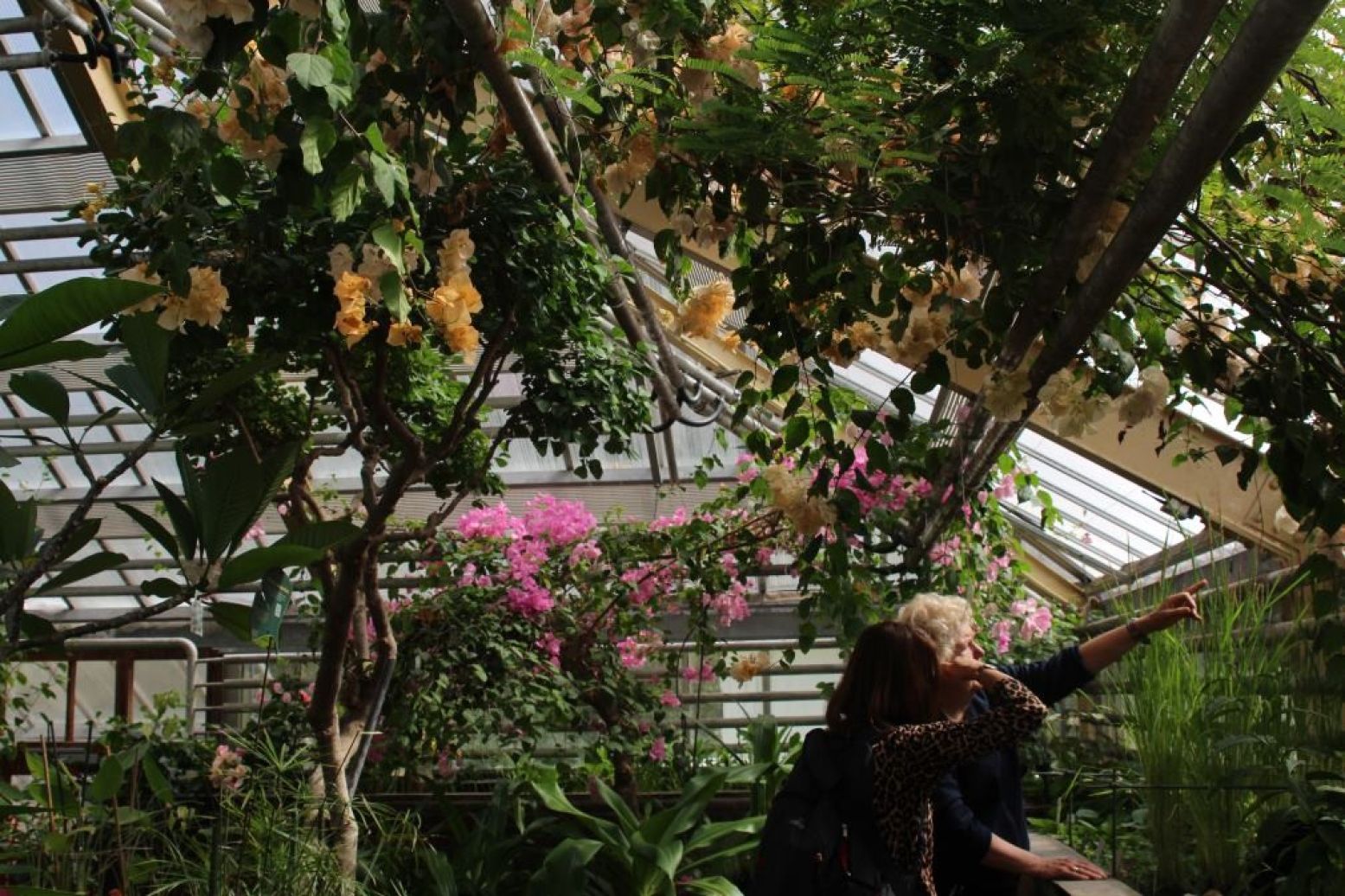 Rondleidster Carla vertelt vol passa over alle fauna die we bij Hortus tegenkomen. Foto: Redactie DagjeWeg.NL