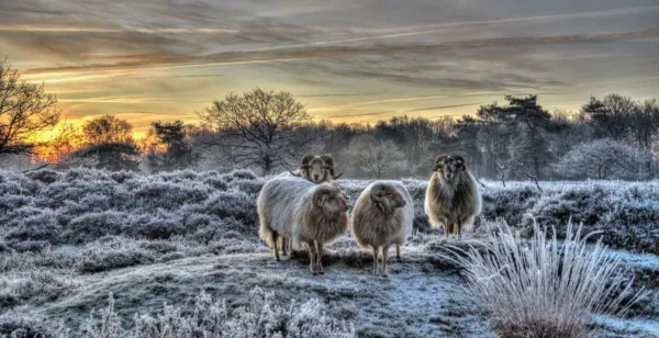 Op ontdekkingstocht door de natuur