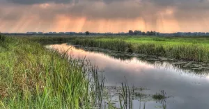 Veldbezoek aan het Koningsdiep met Ledencommissie Fryslân Veldbezoek aan het Koningsdiep met Ledencommissie FryslânFoto geüpload door gebruiker Natuurmonumenten.