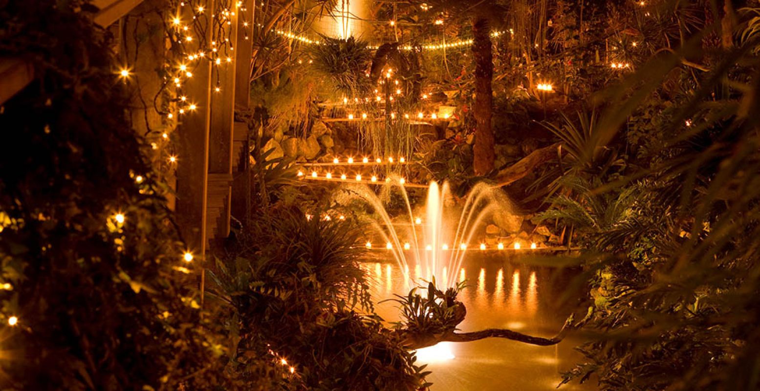 Vergaap je aan duizenden lichtjes tijdens de kaarsjesavonden. Foto: Orchideeën Hoeve.