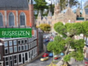 Zonnetrein Groot Saeftinghe