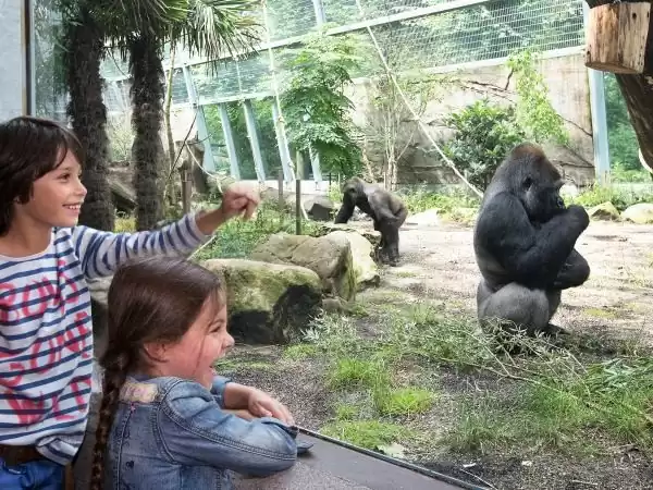 Foto: Ouwehands Dierenpark.