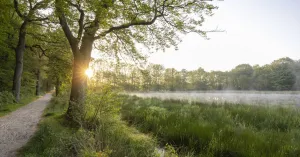 Dauwtrappen op De Slotplaats | Foto geüpload door gebruiker Natuurmonumenten.