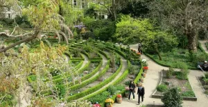 Keizerlijke bloemenpracht bij Hortus Amsterdam