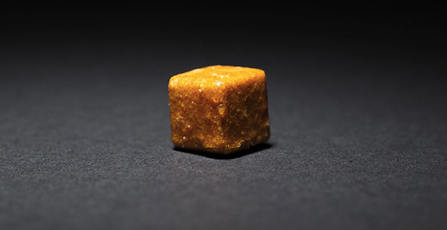 Astronautenvoedsel 'Cheese Cracker Cube', 1960-1980. (Museum Boerhaave, V16593). Foto: Marieke de Lorijn