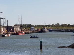 Zonnepont Jonge Seun