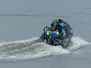 Verken de Westerschelde per boot. Foto: ScheldeSafari.