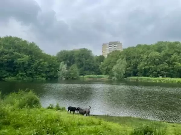 Foto: Ankie Klut