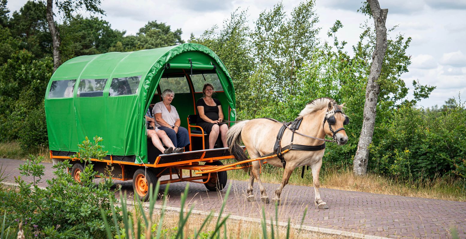 Stap in en ontdek de mooiste plekjes van Drenthe. Foto: Huifkarverhuur Estelle