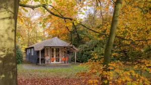 Camping en Vakantiepark De Leemkule Bij Camping Leemkule kun je ook kiezen voor een huisje midden in het bos! Foto: © Molecaten