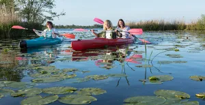 Op avontuur in De Wieden tijdens de zomervakantie Ontdek De Wieden met een kano. Foto: Natuurmonumenten / fotograaf Andries de la Lande Cremer