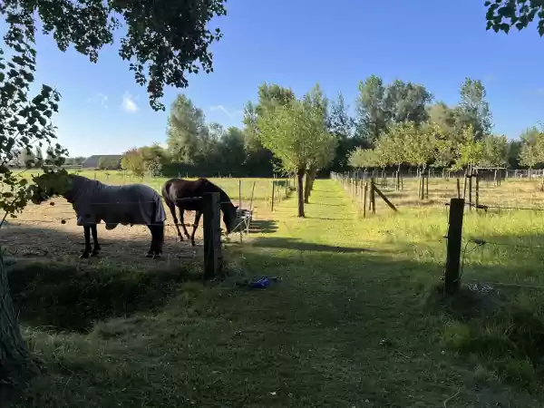 Minicamping De Bokkesprong