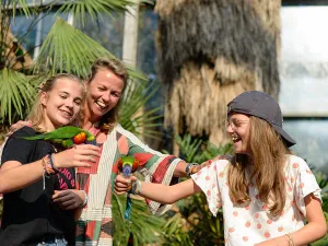 Prijsvraag: Win twee tickets voor Avifauna