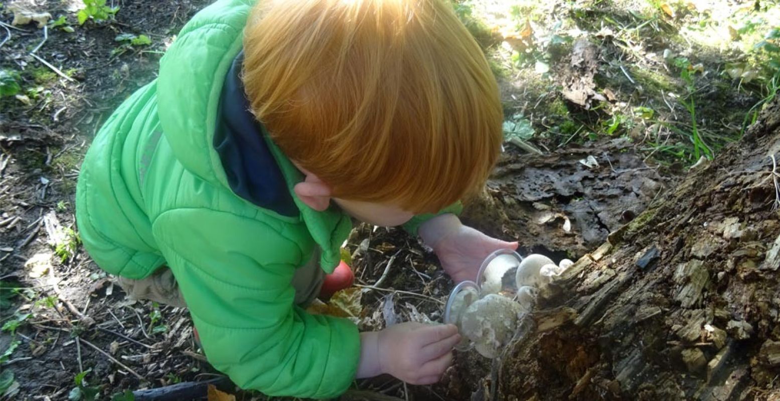 Op zoek naar de mooiste paddenstoelen.