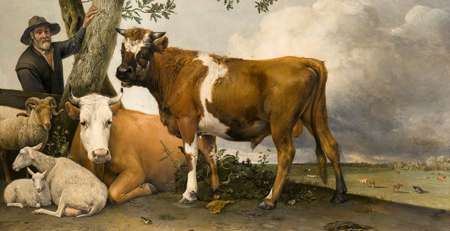 Paulus Potter: De stier, 1647, te zien in het Mauritshuis, Den Haag. Kan dit meesterwerk straks in het openbaar worden gerestaureerd? Foto bijgesneden voor DagjeWeg.NL. Foto: Het Mauritshuis © Margareta Svensson