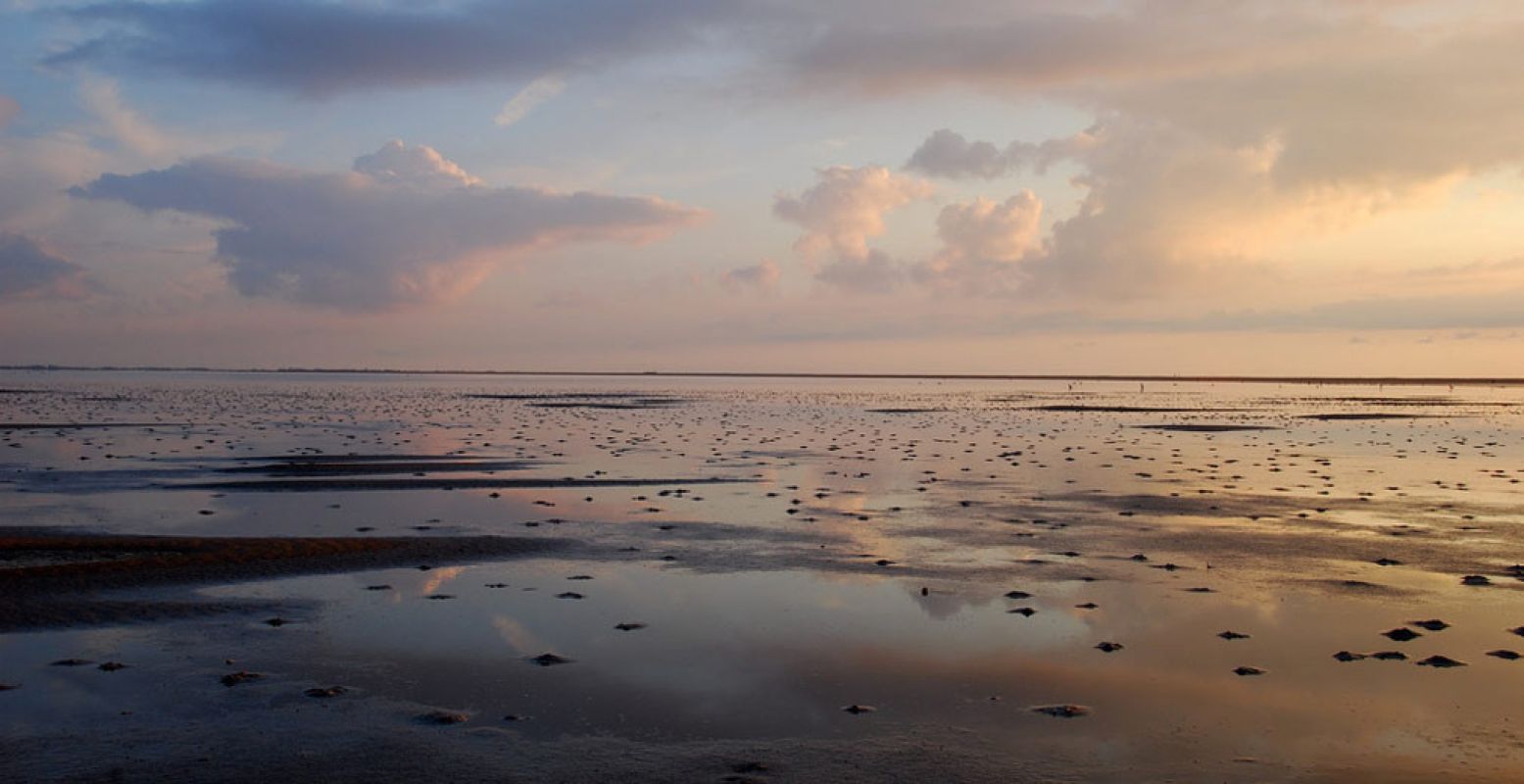 Mooi plaatje van het mooiste natuurgebied van Nederland. Foto: 'Schiermonnikoog, 2008'. Fotograaf:  Petra Links . Licentie:  Sommige rechten voorbehouden . Bron:  Flickr.com 