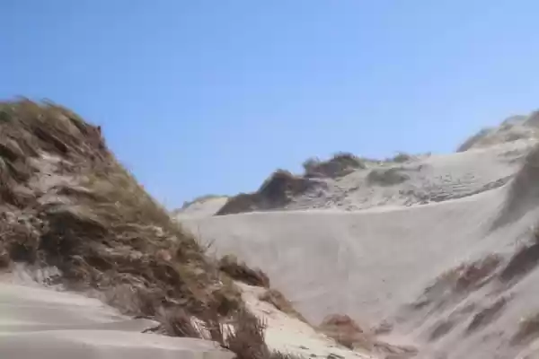 Duinen van de Schoorlse Duinen | Foto geüpload door gebruiker Staatsbosbeheer. Duinen van de Schoorlse Duinen | Foto geüpload door gebruiker Staatsbosbeheer.