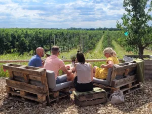 Uitzicht over de fruitboomgaarden. Foto: Fruitbedrijf Horstink Uitzicht over de fruitboomgaarden. Foto: Fruitbedrijf Horstink