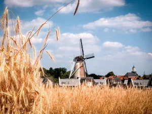 Molen van Oude Hengel Foto: © VVV Ootmarsum-Dinkelland