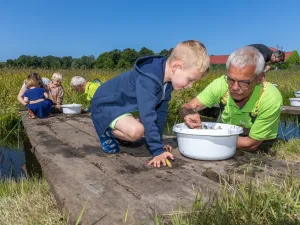 IVN Slootjesdagen Ga erop uit tijdens de IVN Slootjesdagen! Foto: IVN Natuureducatie