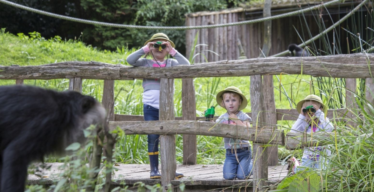 Dieren kijken in een dierentuin is altijd wel een hit bij peuters en kleuters. Zeker in een dierentuin als ZooParc Overloon, waar ze ook tussen dieren kunnen lopen. Foto: ZooParc Overloon © Arjan van Bruggen