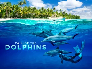 Film Call of the Dolphins Poster. Foto: MacGillivray Freeman