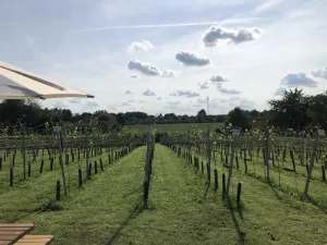 Wijngaarden Open Dagen
