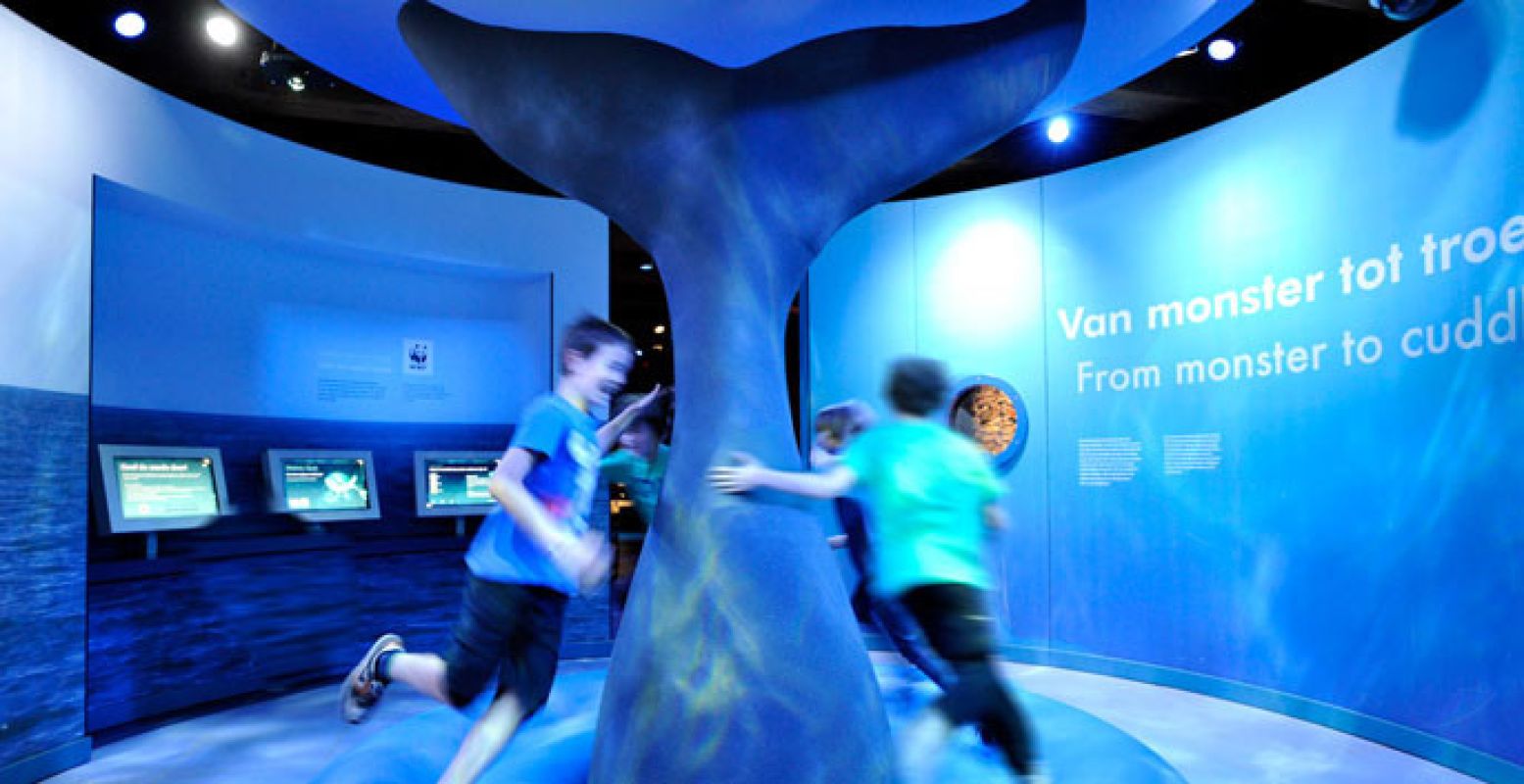 Tijdens de Walvisweken is er van alles te beleven in Het Scheepvaartmuseum. Foto: Het Scheepvaartmuseum.