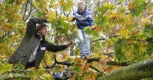 OERRR Struinen met de boswachter in het herfstbos OERRR Struinen met de boswachter in het herfstbosFoto geüpload door gebruiker Natuurmonumenten.