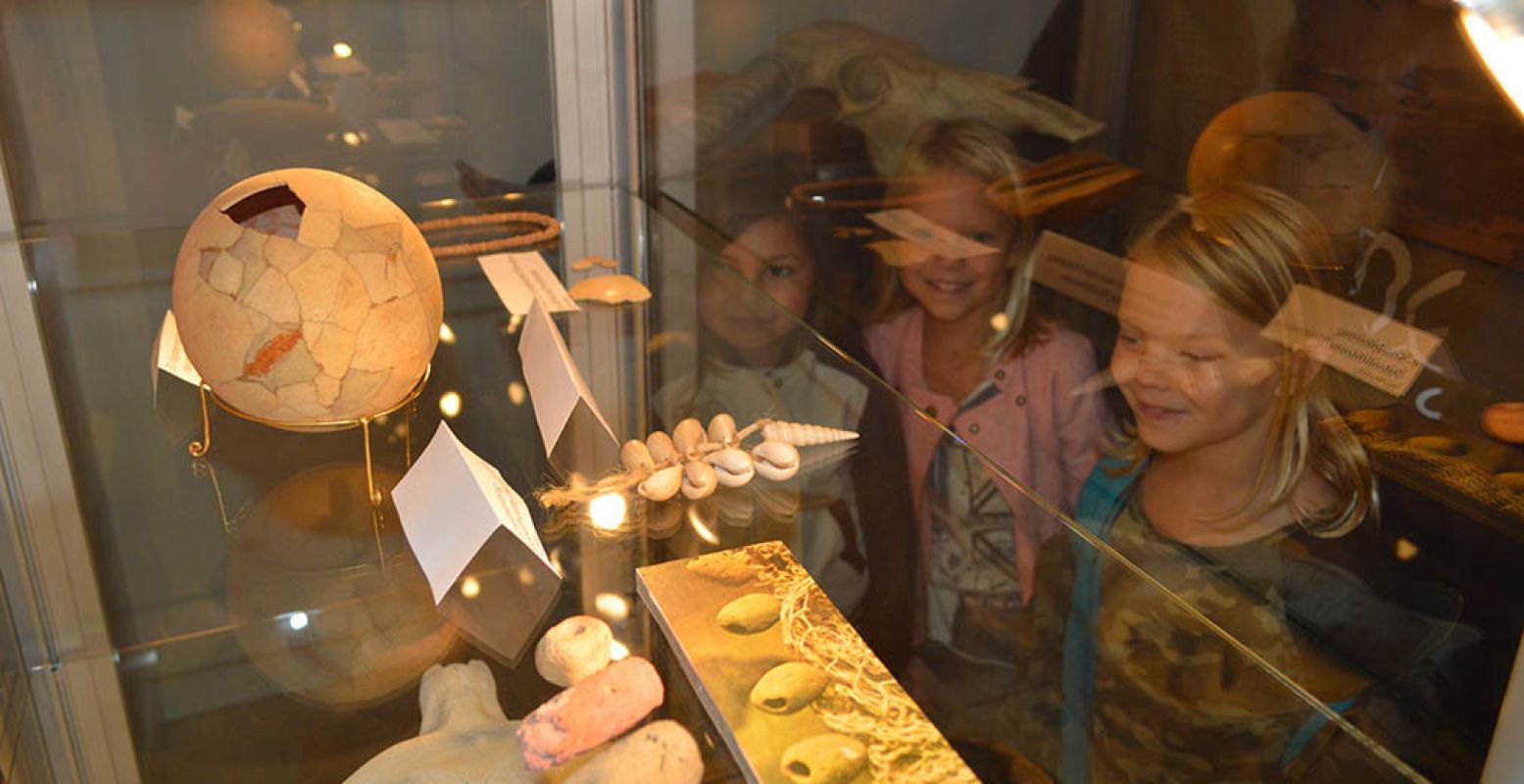 Neem een kijkje achter de schermen bij musea en bekijk speciale archeologische vondsten. Foto: Nationale Archeologiedagen.