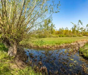 Avondwandeling Foto geüpload door gebruiker Geldersch Landschap en Kasteelen
