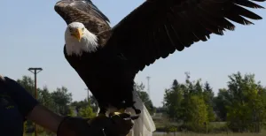 Bedrijfsuitjes op zelfgekozen locatie