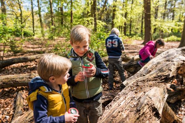 OERRR Kriebelbeestjessafari en insectenhotels - Oisterwijkse bos OERRR Kriebelbeestjessafari en insectenhotels - Oisterwijkse bos | Foto ge&uuml;pload door gebruiker Natuurmonumenten.