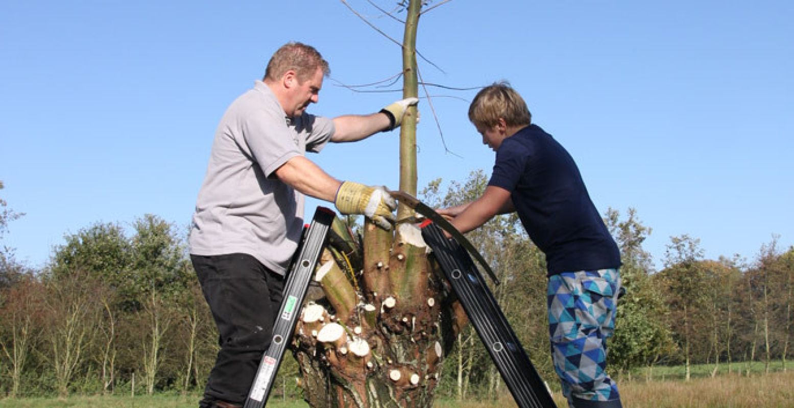 Samen bomen snoeien.