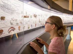 Loop langs de zestig meter lange Flevowand. Foto: Museum Batavialand