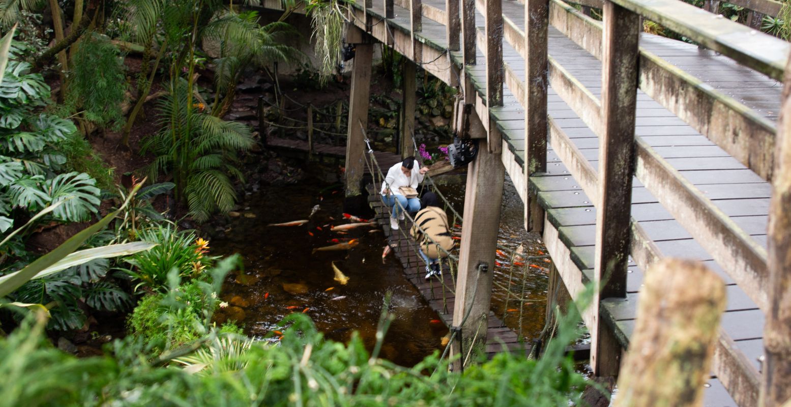 Maak je route door Pantropica zo avontuurlijk als je zelf wilt en ontdek de wildpaadjes en touwbruggen. Foto: DagjeWeg.NL