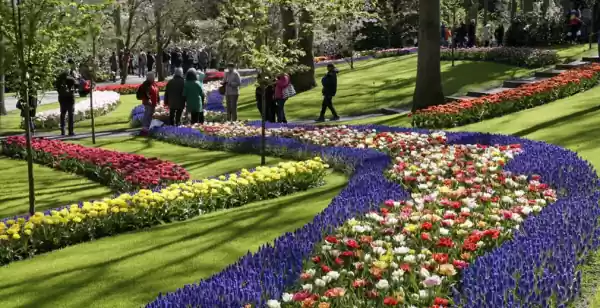 De klassiekers onder de uitstapjes Geniet van typisch Hollandse uitjes in de buitenlucht. Foto: Keukenhof.