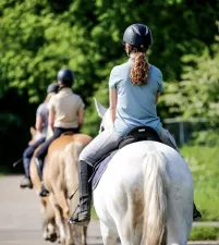 Manege het Roessingh. Foto: Lieke Goverts. Manege het Roessingh. Foto: Lieke Goverts.