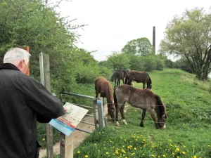 Met De Blauwe Bever naar de Jufferswaard nartuur de Jufferswaard - foto:Stichting RijnoevervaartenFoto geüpload door gebruiker.