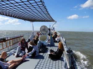 Waddentochten vanuit Lauwersoog