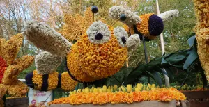 Fleurig spektakel in de Bollenstreek met duizenden bloemen