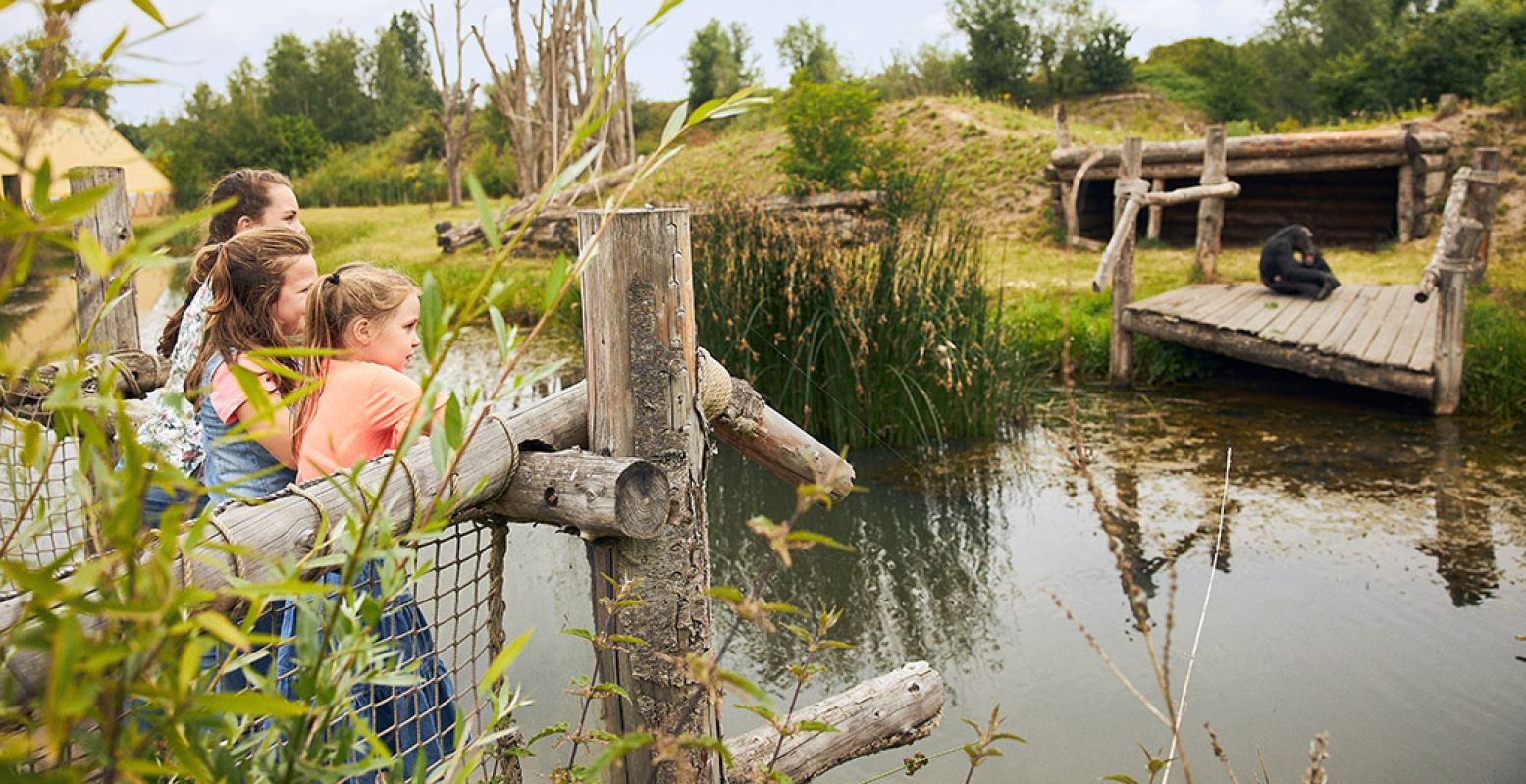 Rondspeuren in Dierenrijk, daar worden ook de kleinste kindjes blij van! Zeker als ze onderweg in de bolderkar mogen zitten wanneer ze moe worden. Foto: Dierenrijk © Arno Hoogwerf