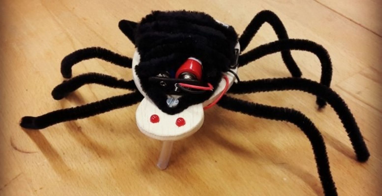 Maak een spin die zelf kan lopen! Foto: Natuurmuseum