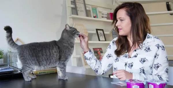 Binnenkort kattencafé in hartje Den Bosch